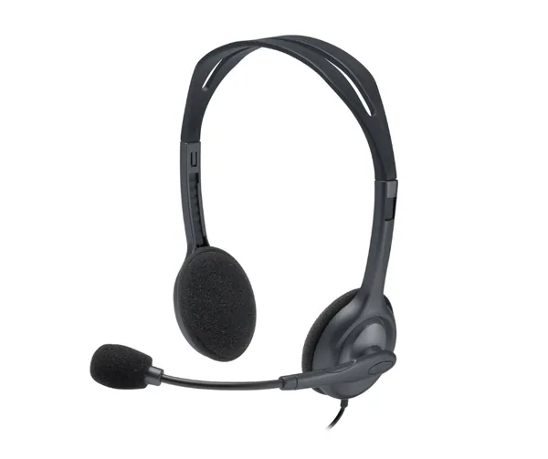 Logitech H110 Stereo Headset